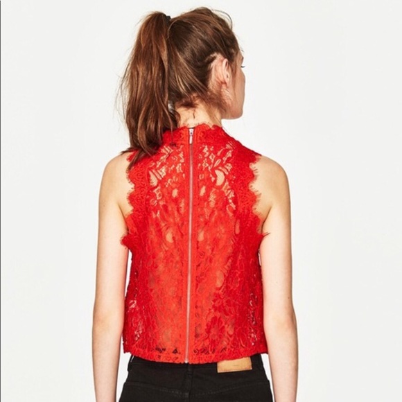 Zara Trafaluc Top Embroidered lace Size S - Picture 6 of 8